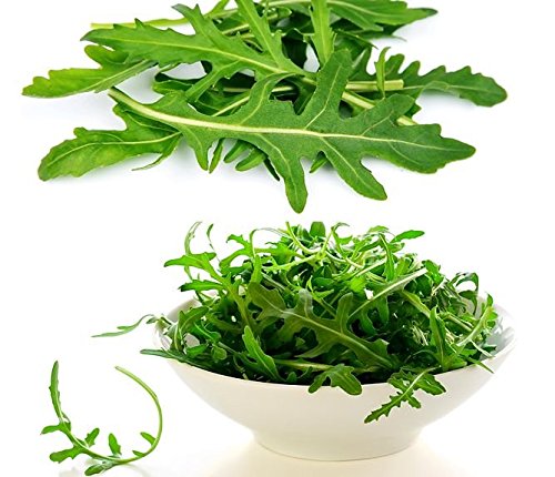 Bagaimana selada dan minyak melindungi otak Bagaimana selada dan minyak melindungi otak